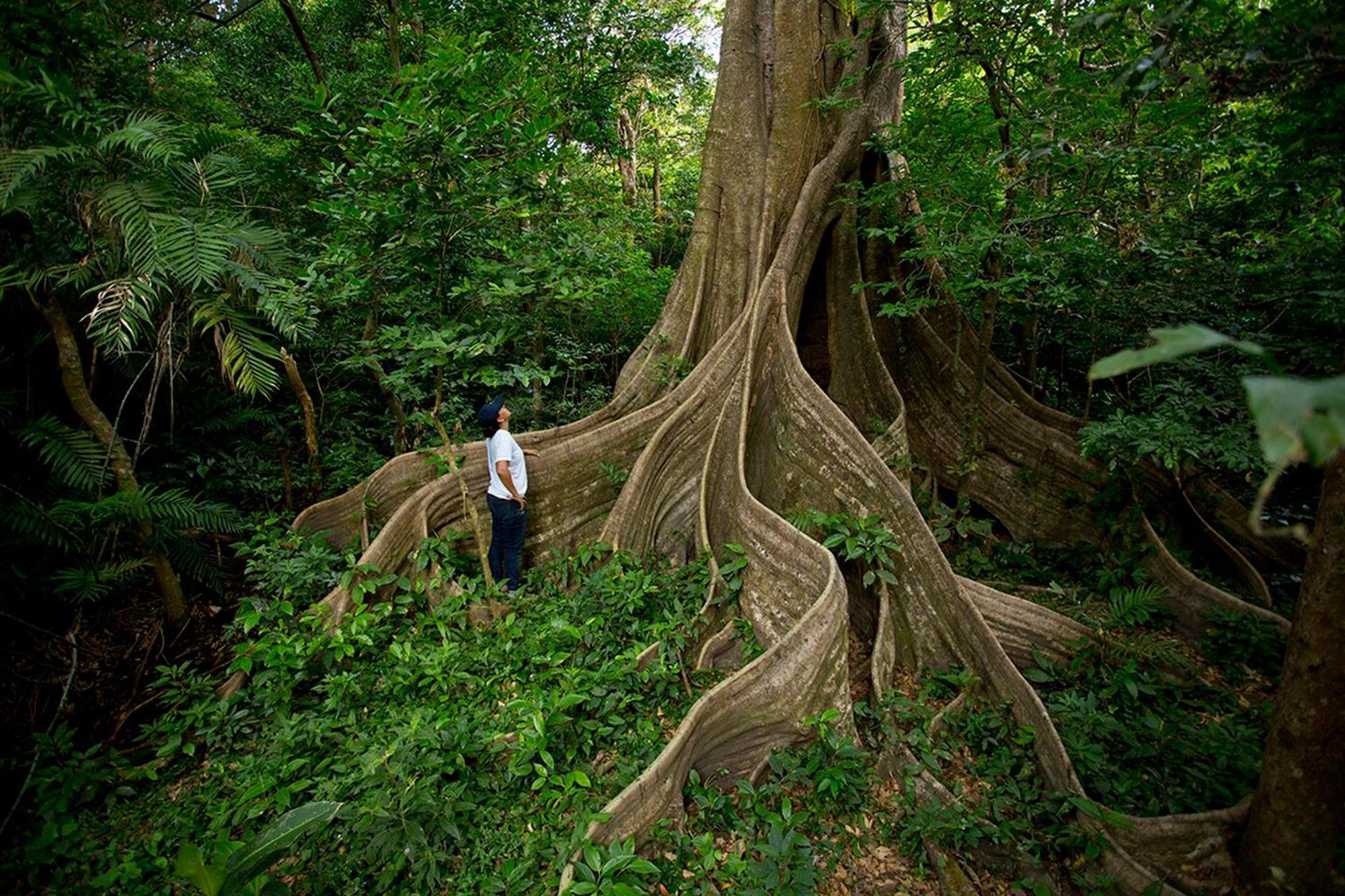 Buena Vista Del Rincon Eco Adventure Park Hotel & Spa Liberia Exteriér fotografie